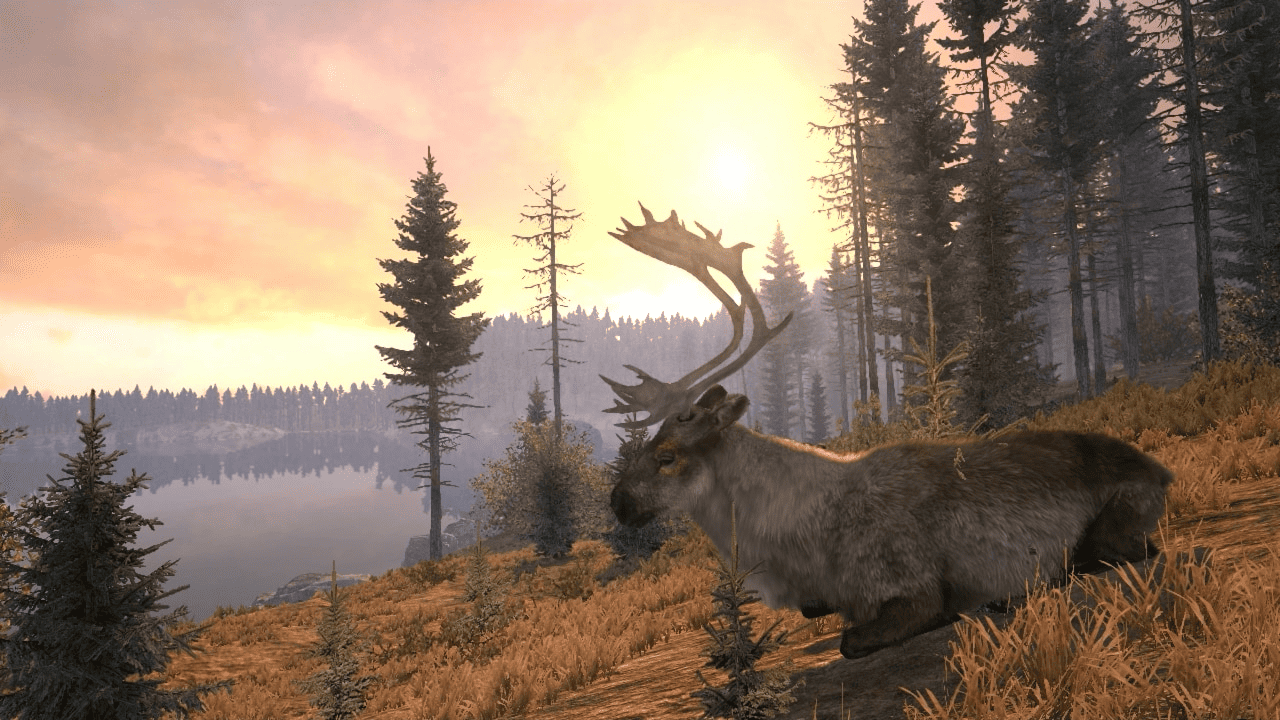 Cabela's Big Game Hunter: Pro Hunts Screenshot
