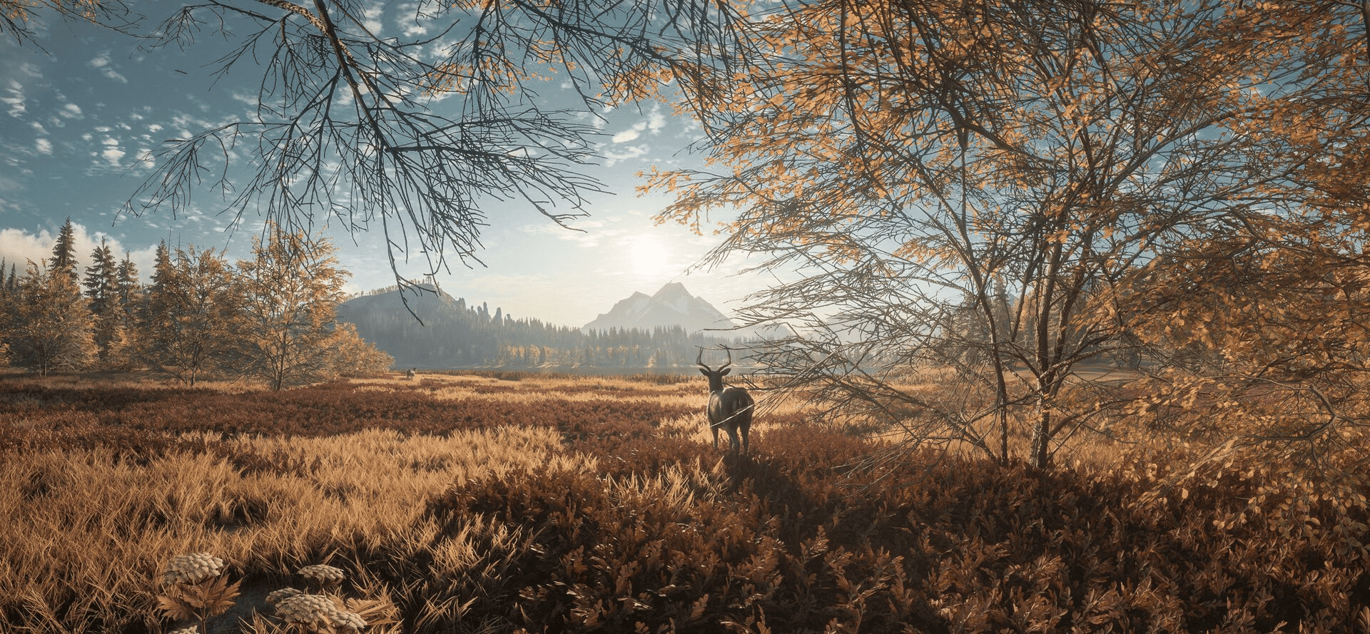 theHunter: Call of the Wild Screenshot