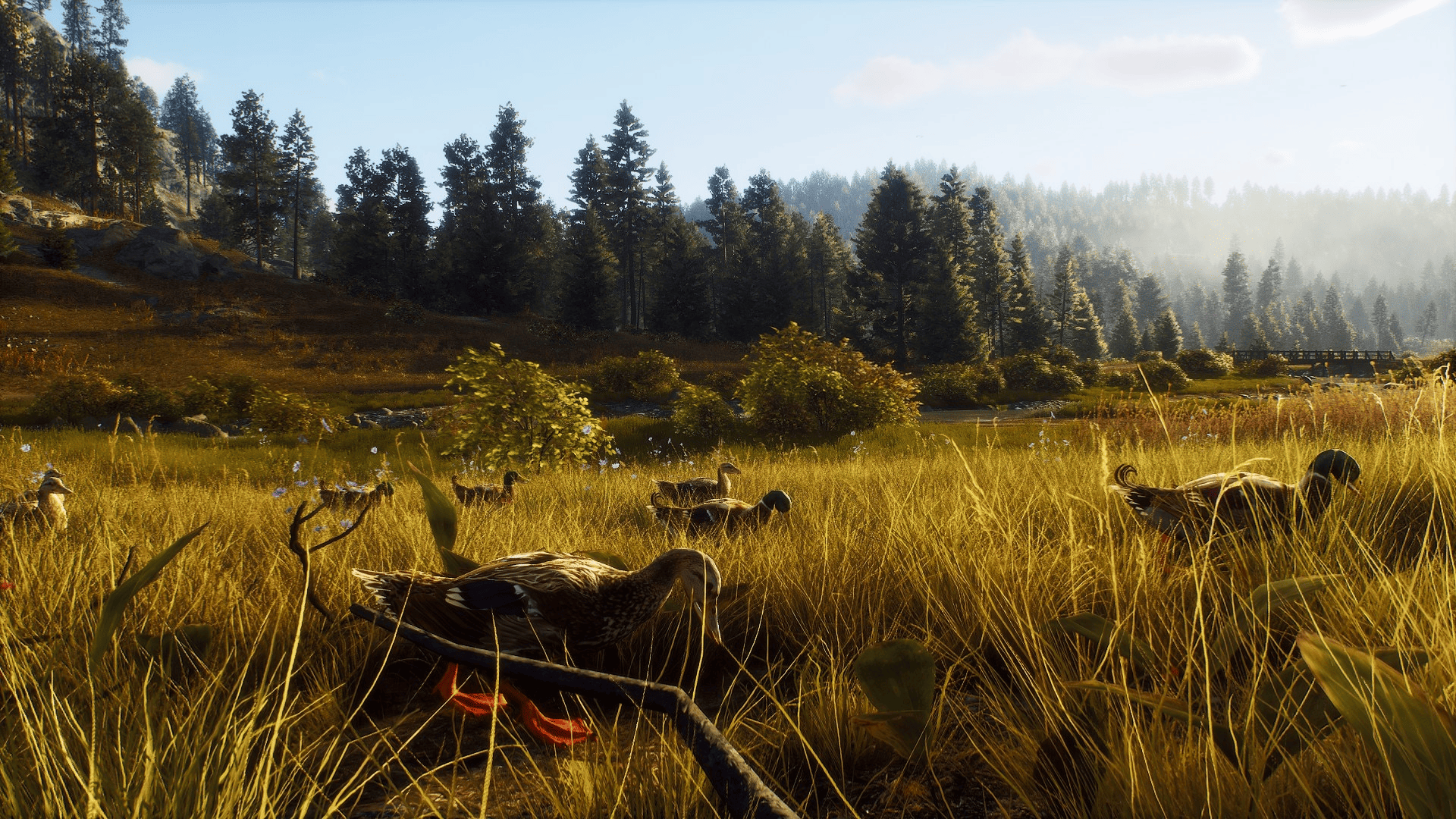 Way of the Hunter Screenshot