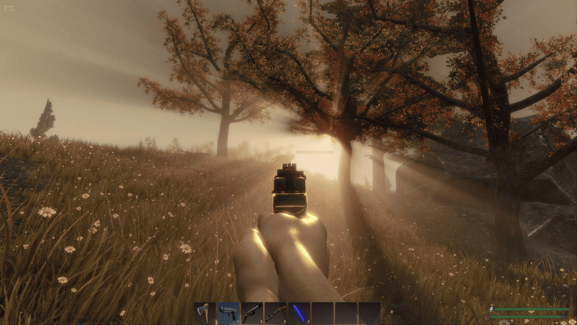 Subsistence Screenshot