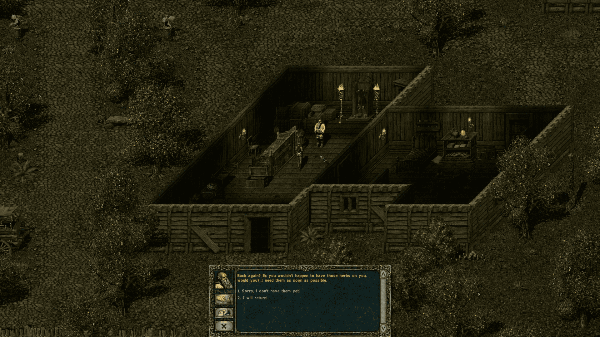 Divine Divinity Screenshot