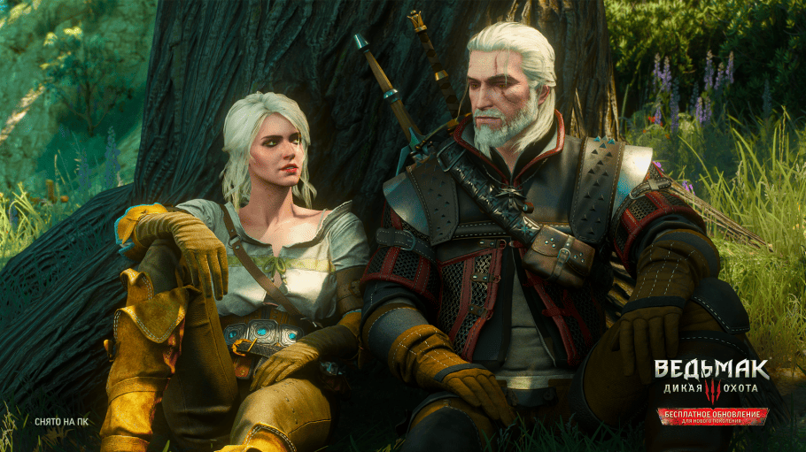 The Witcher 3: Wild Hunt Screenshot