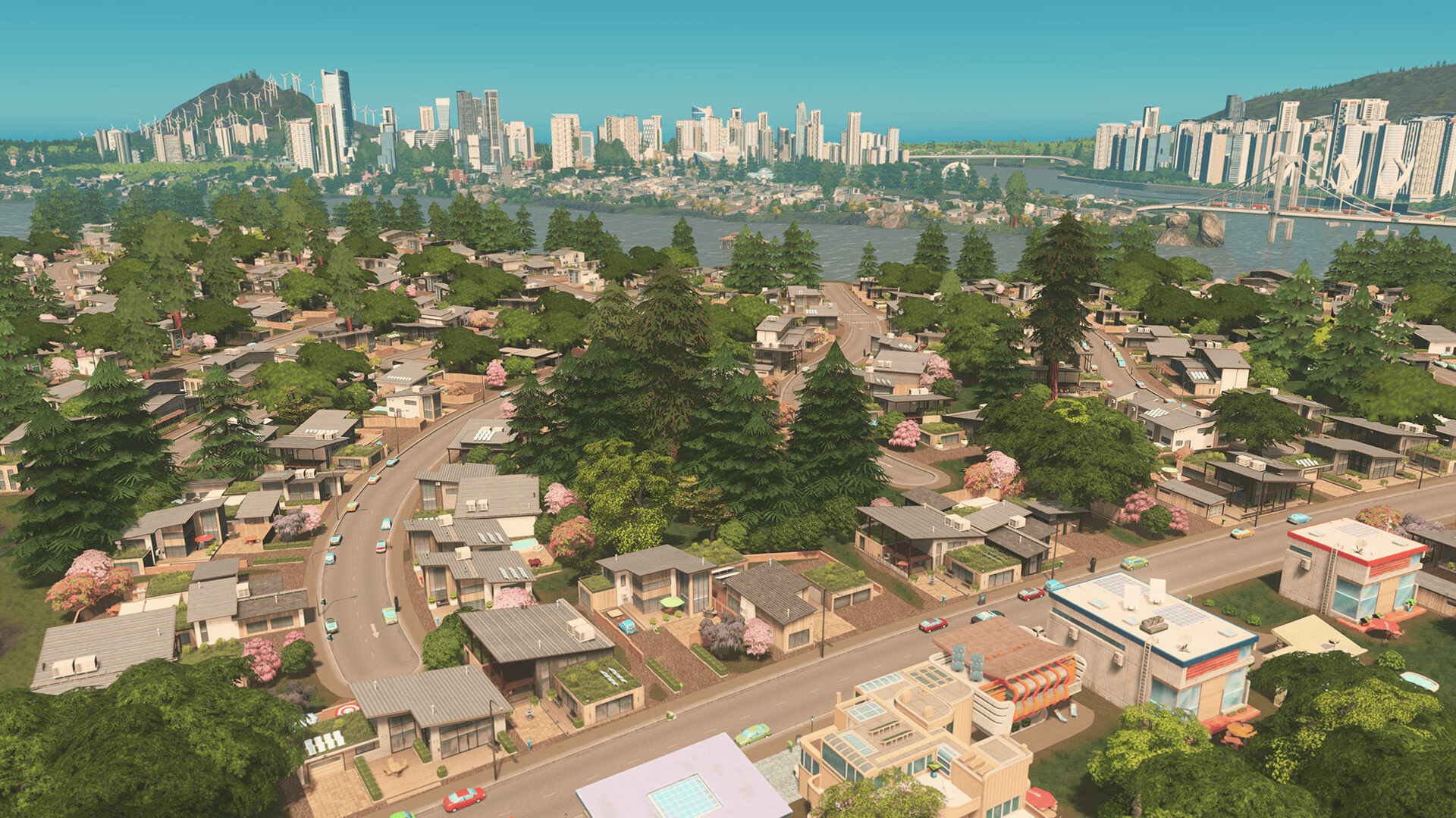Cities: Skylines Screenshot