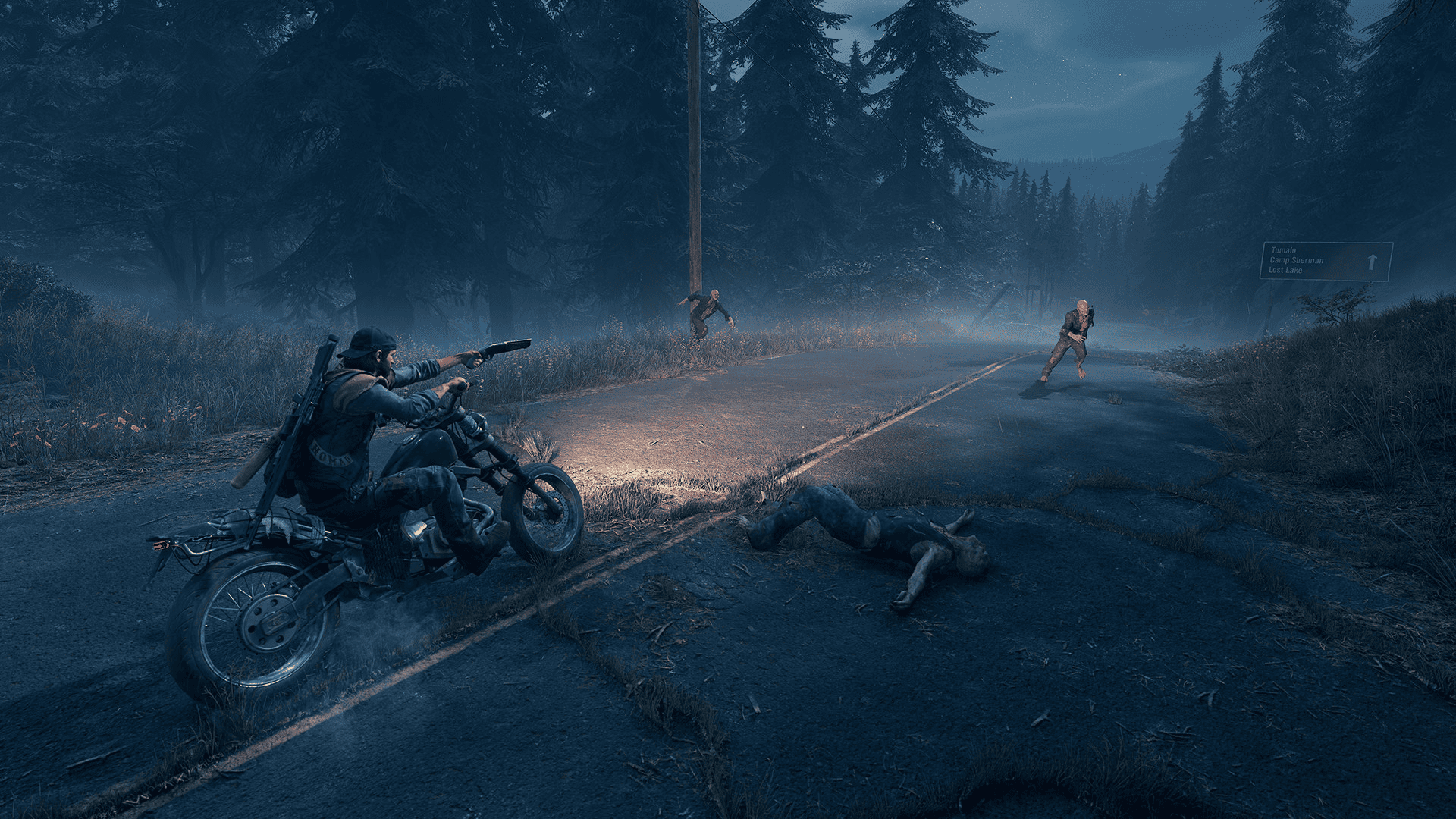 Days Gone Screenshot